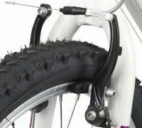 Hogyan válasszuk ki a mountain bike - faj Rostovka, jellemzői