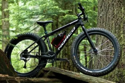 Hogyan válasszuk ki a mountain bike - faj Rostovka, jellemzői