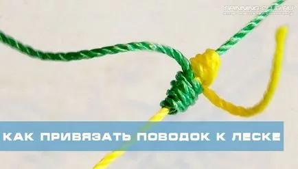 Hogyan kell kötni a pórázt a fő vonal a fonás