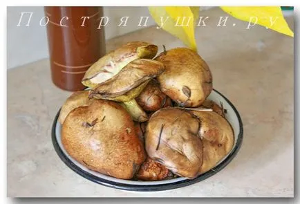 Hogyan befagyasztására gomba - recept fotókkal