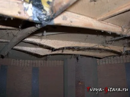Hogyan kell tárolni a gitár otthon