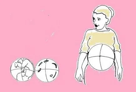 Függetlenül a helyzetét meghatározni a magzat a méhben, megkülönböztetni feji bemutatása a kismedencei (magzati pozíció) Önállóan határozza meg a helyzetét a magzat az anyaméhben, hogy megkülönböztesse a feji bemutatása kismedencei