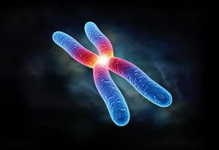 Hogyan lehet megoldani a problémát a genetika biológia