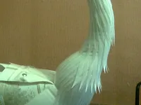 Hogyan készítsünk saját kezűleg gólya video leckék