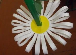Hogyan lehet a papír daisy