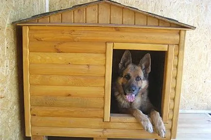 Hogyan készítsünk egy kennel a kutya a saját kezével