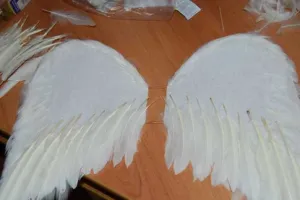 Hogyan készítsünk angyal szárnyak (hogy angyal szárnyak) Hogyan készítsünk angyal szárnyak
