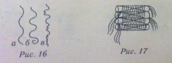 Hogyan készítsünk egy szép perm rendesen, hiba nélkül (jobbra) Hogyan készítsünk egy szép perm rendesen, hiba nélkül