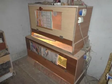 Hogyan, hogy a sejtek a brojlercsirkék kezeddel (a tartalom) Hogyan, hogy a sejtek a brojlercsirkék a kezüket