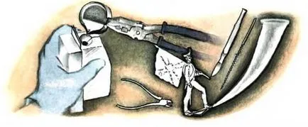 Hogyan készítsünk egy ólomkatona otthon (do) Hogyan készítsünk egy ólomkatona az otthoni