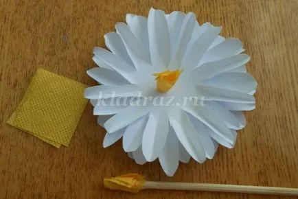 Hogyan készítsünk egy százszorszép papírból kezével szakaszokban fényképes kezdőknek (lépésről lépésre) Hogyan készítsünk egy százszorszép papírból kezével szakaszokban fényképes kezdőknek