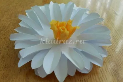 Hogyan készítsünk egy százszorszép papírból kezével szakaszokban fényképes kezdőknek (százszorszép) Hogyan készítsünk egy százszorszép papírból kezével szakaszokban fényképes kezdőknek