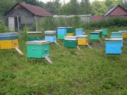 Hogyan lehet csalánkiütés a méhek saját kezűleg otthon lépésről lépésre rajzokkal és (azok) Hogyan lehet csalánkiütés a méhek saját kezűleg otthon lépésről lépésre rajzokkal és