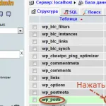Hogyan hozzunk létre egy ftp-kapcsolatot (fájlkezelõk Total Commander és FileZilla), kezdőknek