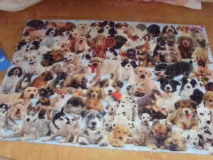Hogyan ragasztó a puzzle