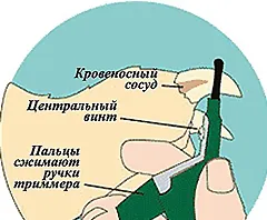 Kaszálás karmok, hogyan kell vágni a kutya körmök, hogyan válasszuk ki a vágót vágás karmok (haircut) Kaszálás karmok, hogyan kell vágni a kutya körmök, hogyan válasszuk ki a vágót vágás karmok