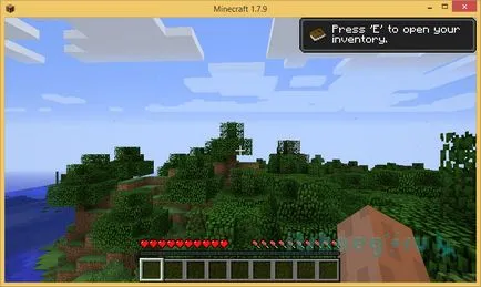 Hogyan hozzunk létre egy Minecraft szerver (hivatalos), blog aytishnega