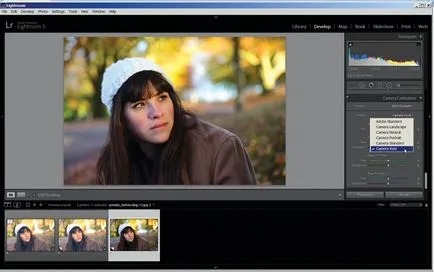 Hogyan hozzunk létre előre beállított Lightroom