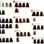 Milyen hajfesték Loreal választani