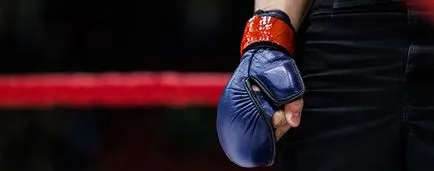 Hogyan válasszuk ki shingardy (MMA kesztyű) (kesztyű) Hogyan válasszuk ki shingardy (MMA kesztyű)