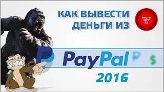 Hogyan pénzt a paypal