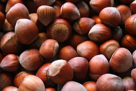 Hogyan növekszik mogyoró dió