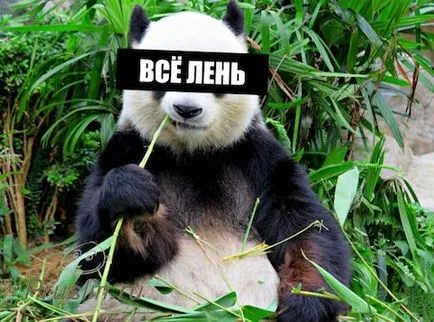 Hogyan verte a gép plüss játékok