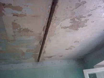 Hogyan igazítsa a mennyezet vakolat