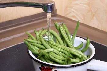 Hogyan befagyasztására zöldbab - recept lépésről lépésre fotók