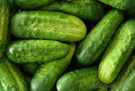 Hogyan kell tárolni az uborka, hogy azok frissek maradnak sokáig (hosszú ideig) Hogyan kell tárolni az uborka, hogy azok frissek maradnak sokáig