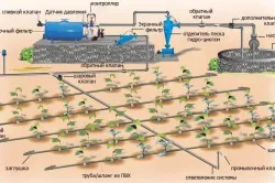 Csepegtető öntözés technológia a burgonya (csepp) Csepegtető öntözés burgonya technológia jellemzői