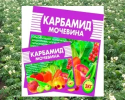 Kálium-nitrát (kálium) alkalmazása - mire van szükség rész (alkalmazás) Kálium-nitrát (kálium) alkalmazása - mire van szükség struktúra