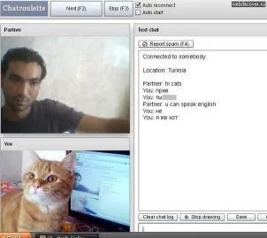 Hogyan lehet pénzt a chat rulett (Chatroulette)