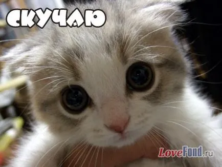 Képek „hiányzik”