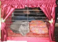 Cage macskáknak