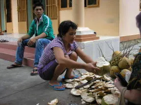 Coconut fa - ázsiai élet fája