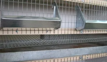 Ketrecek csirkék saját kezűleg - gyorsan, olcsón és kényelmesen