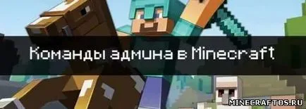 admin csapat maynkrafte