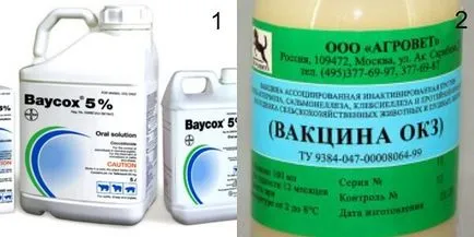 A coccidiosis a csirkék és más madarak - Tünetek, kezelése és megelőzése (tünetek) Kokcidiózis csirkék és más madarak - Tünetek, kezelése és megelőzése