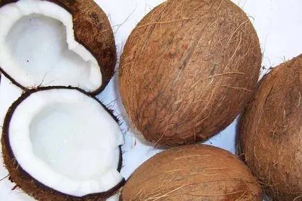 Coconut fa - ázsiai élet fája