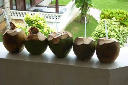 Coconut fa - ázsiai élet fája