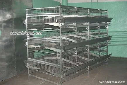 A celluláris tartalmát tojótyúkok előnye és hátránya