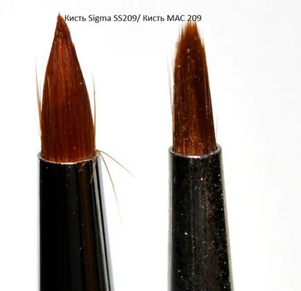 Smink ecset Sigma ecsetek ellen mac