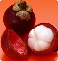 XanGo juice