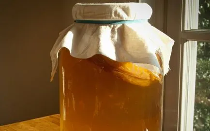 Gyógyászati ​​tulajdonságait teagombával