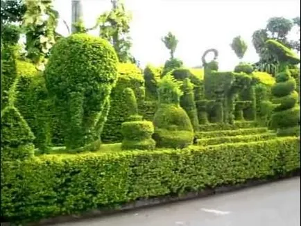 Parkosítás a kezüket a telek 127 fotó (Design) Parkosítás a kezüket a telek 127 fotó