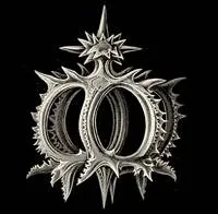 Pod, Radiolarians