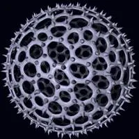Pod, Radiolarians