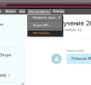 A legjobb utasítást, hogy hogyan kell beállítani a hang Skype - hasznos cikkek