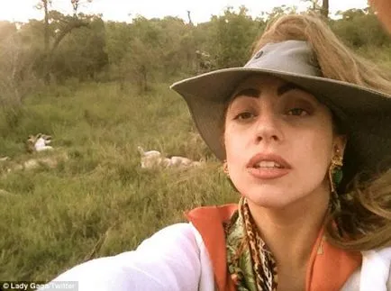 Lady gaga smink nélkül és paróka, hírek és fotó 2017